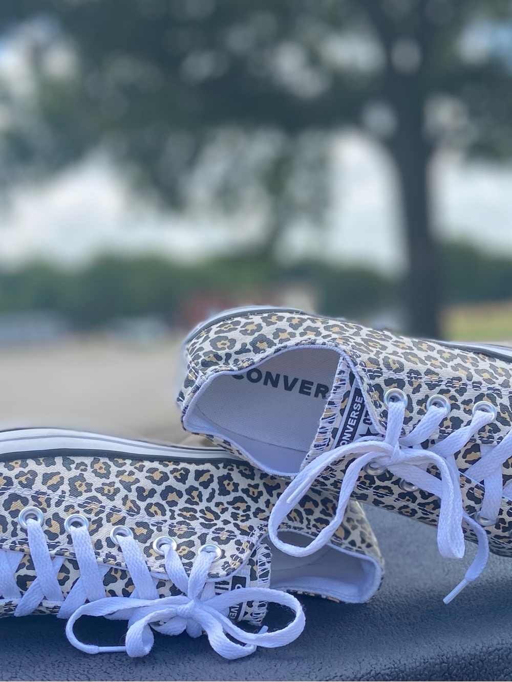 Converse Leopard-Print Low Top Sneakers in White and Brown (Women’s 10/Men’s 8) - Picture 2 of 5